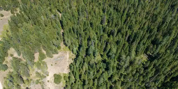 Image 4: Aerial