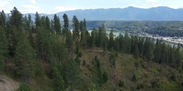 Image 2: DJI_0070