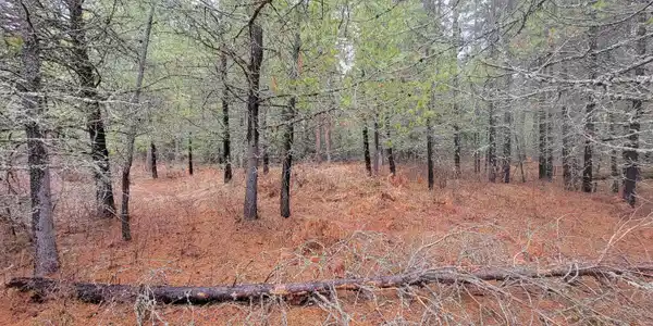 Image 2: 2
