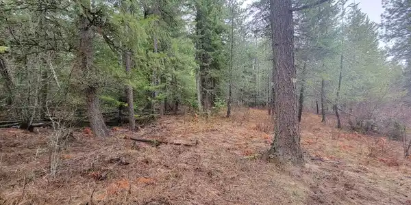Image 3: 3