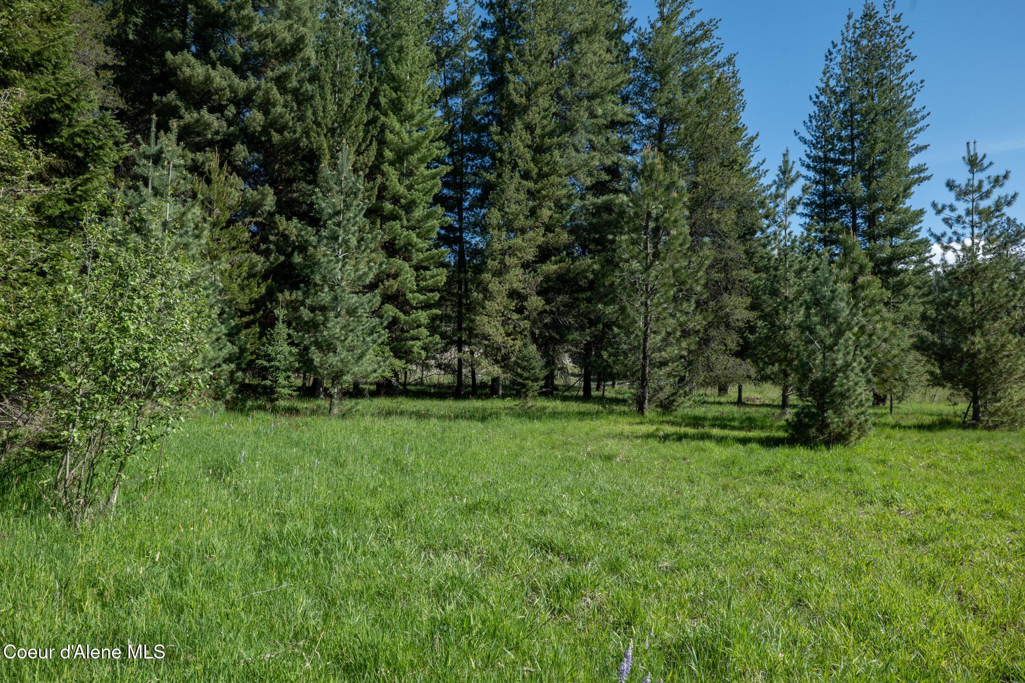 Image 2: NWLL Priest River_Parcel 3-16