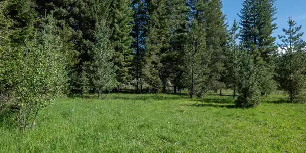 Image 2: NWLL Priest River_Parcel 3-16