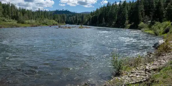 Image 4: NWLL Priest River_Parcel 1-06