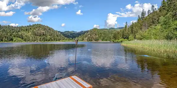 Image 3: 91 Acres for Sale