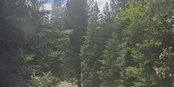 NKA E Alder Creek Rd