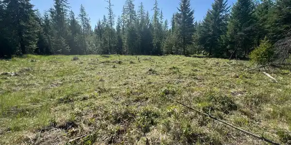 NNA Backroads Way 12.5 Acres