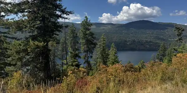 NNA Eureka Rd.