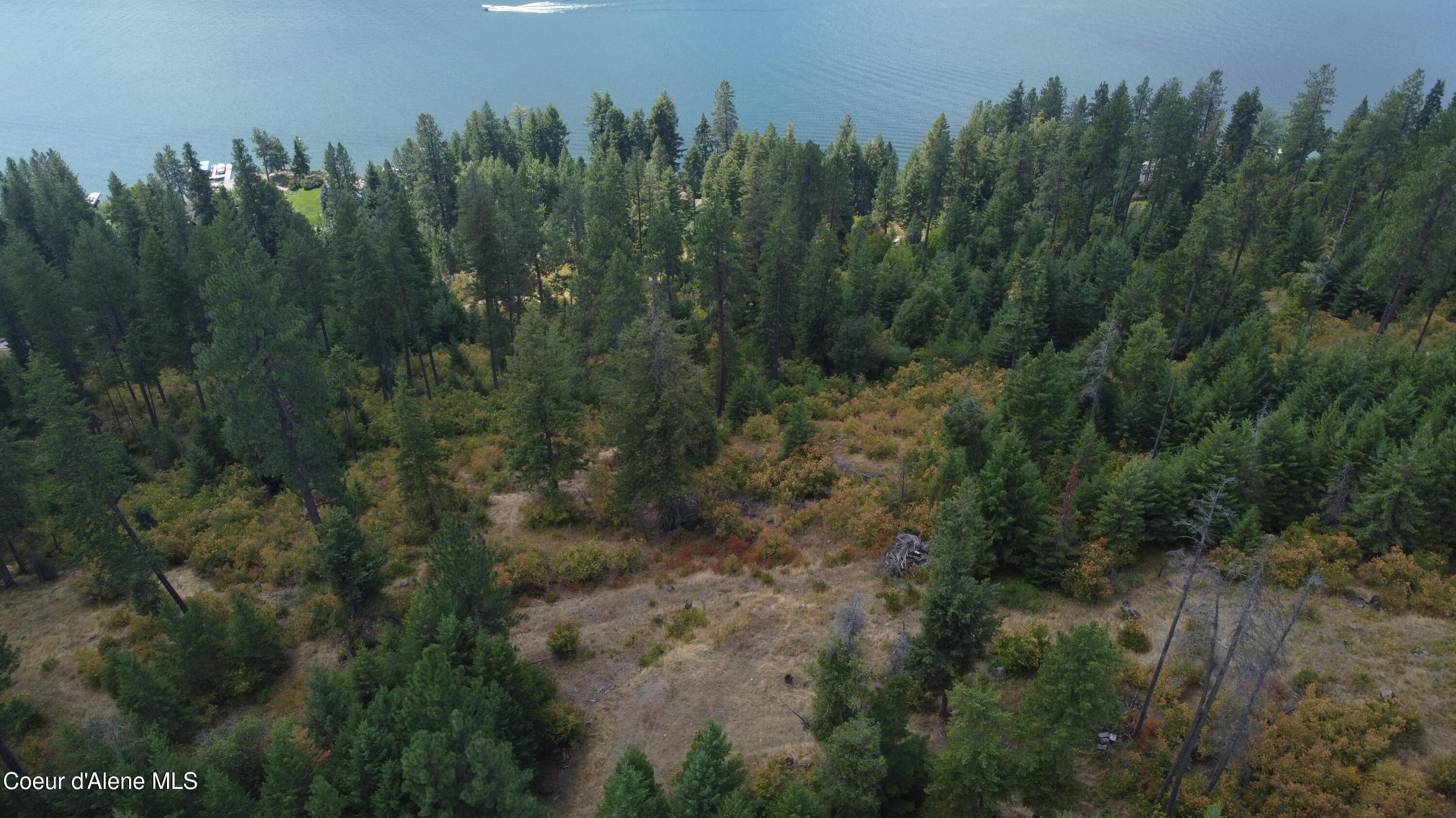 Image 2: DJI_0372