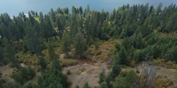Image 2: DJI_0372