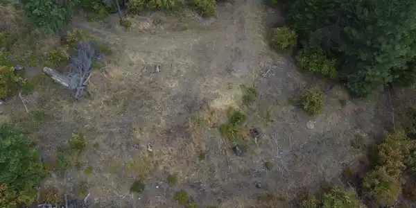 Image 3: DJI_0371