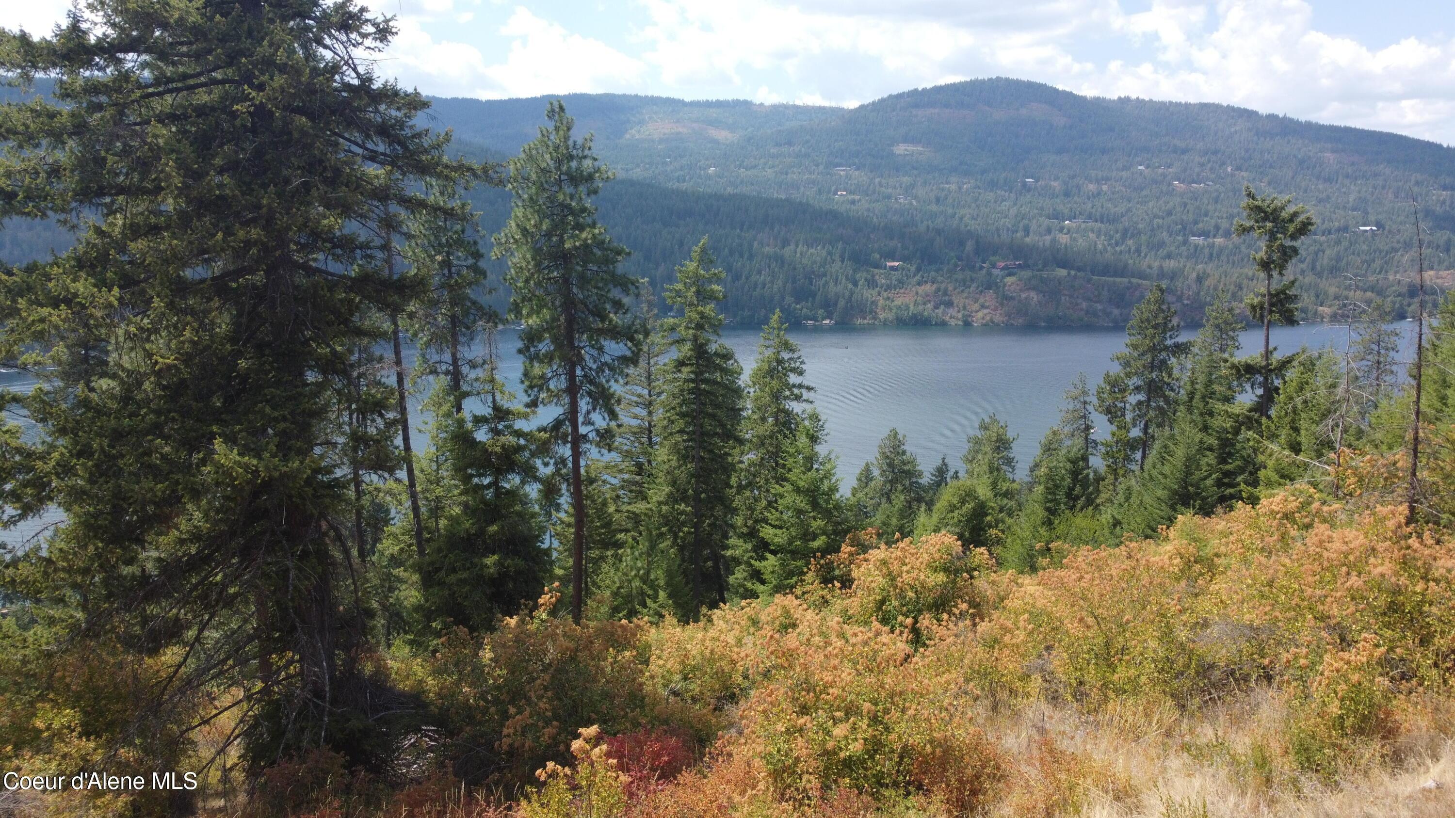 Image 4: DJI_0377