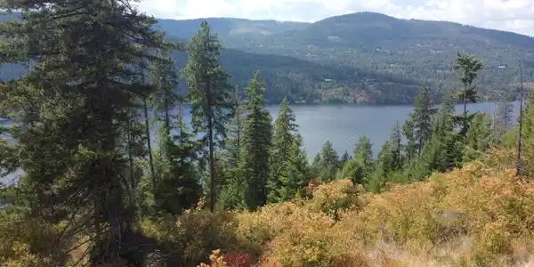 Image 4: DJI_0377