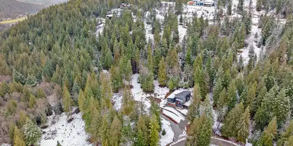 S17 Timber Grove