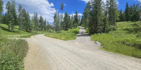 Image 4: 4