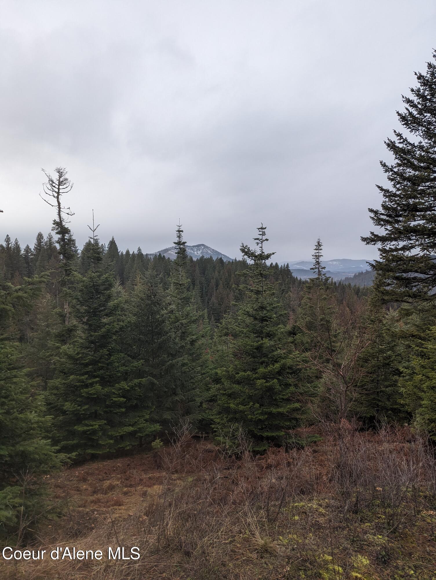 Image 2: PXL_20240205_181152907