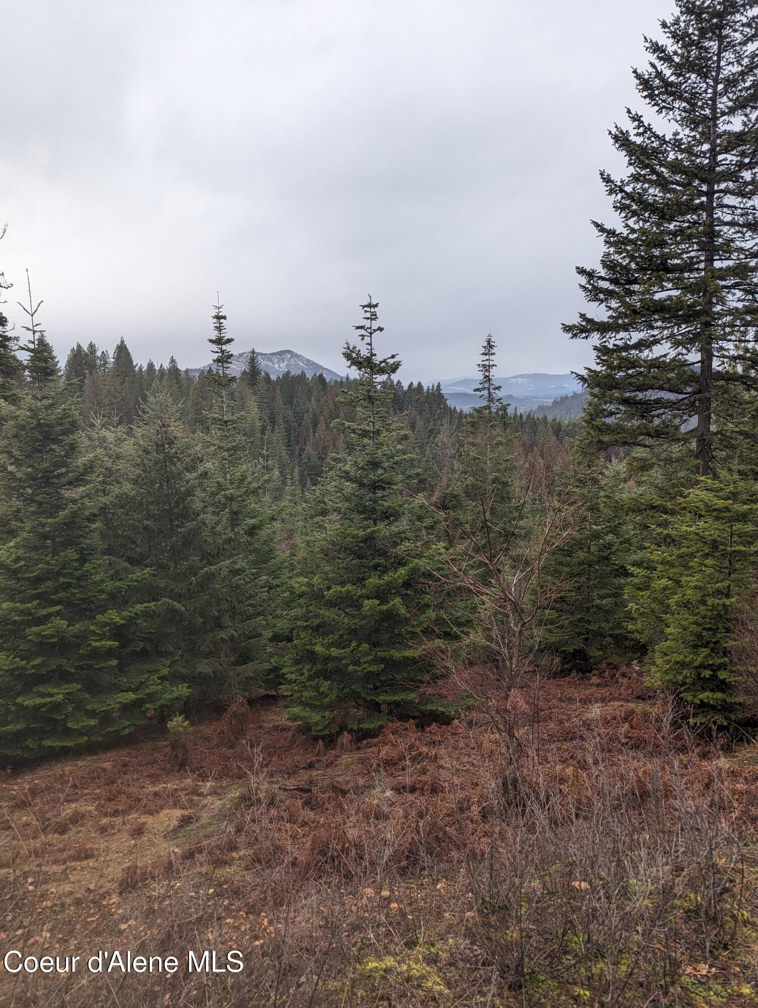Image 3: PXL_20240205_181201942