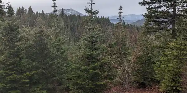 Image 3: PXL_20240205_181201942