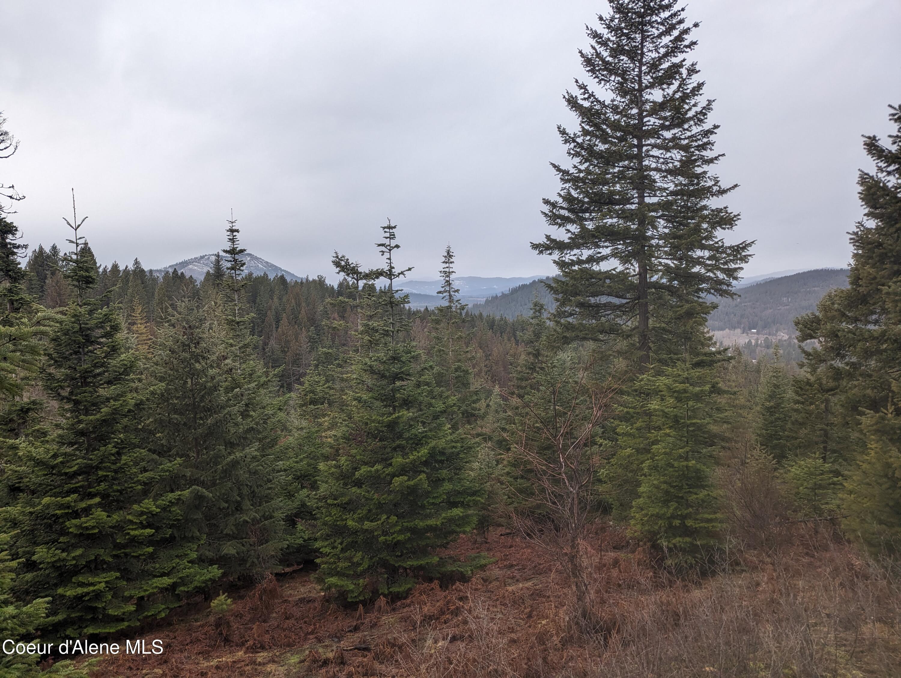 Image 4: PXL_20240205_181206918