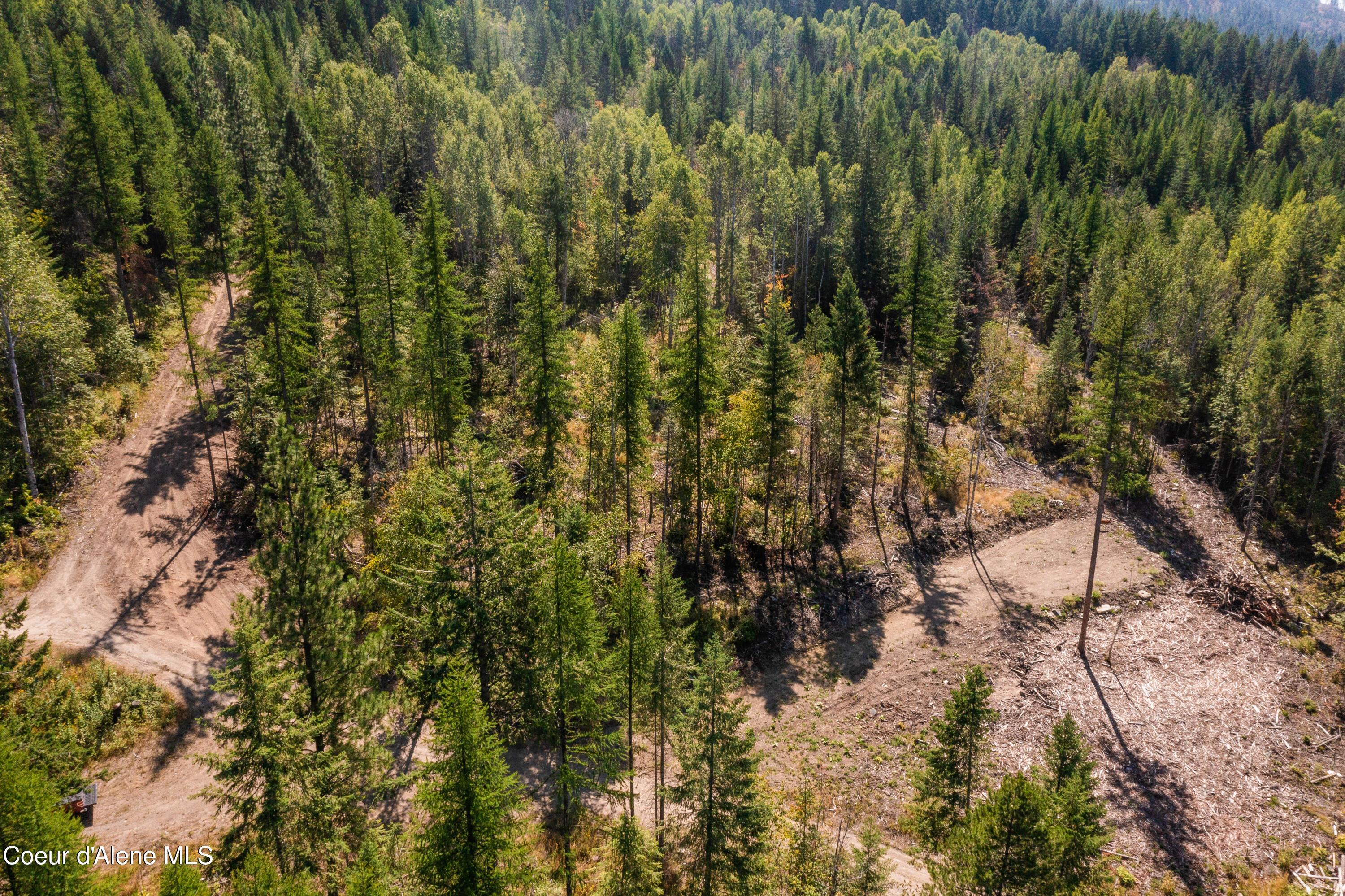 Image 2: Feldmann Mountain Lot 1 Photos-1