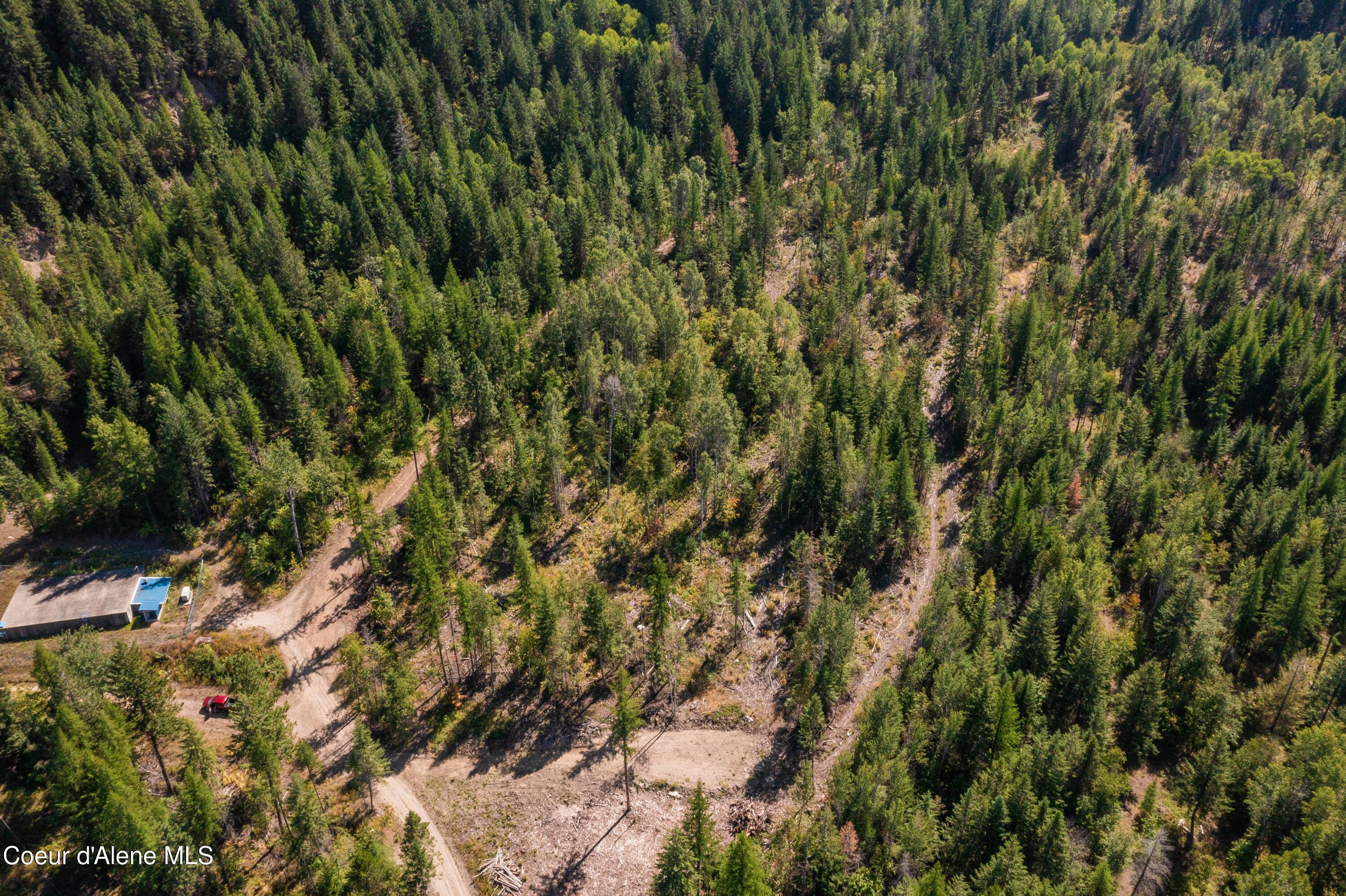 Image 4: Feldmann Mountain Lot 1 Photos-3