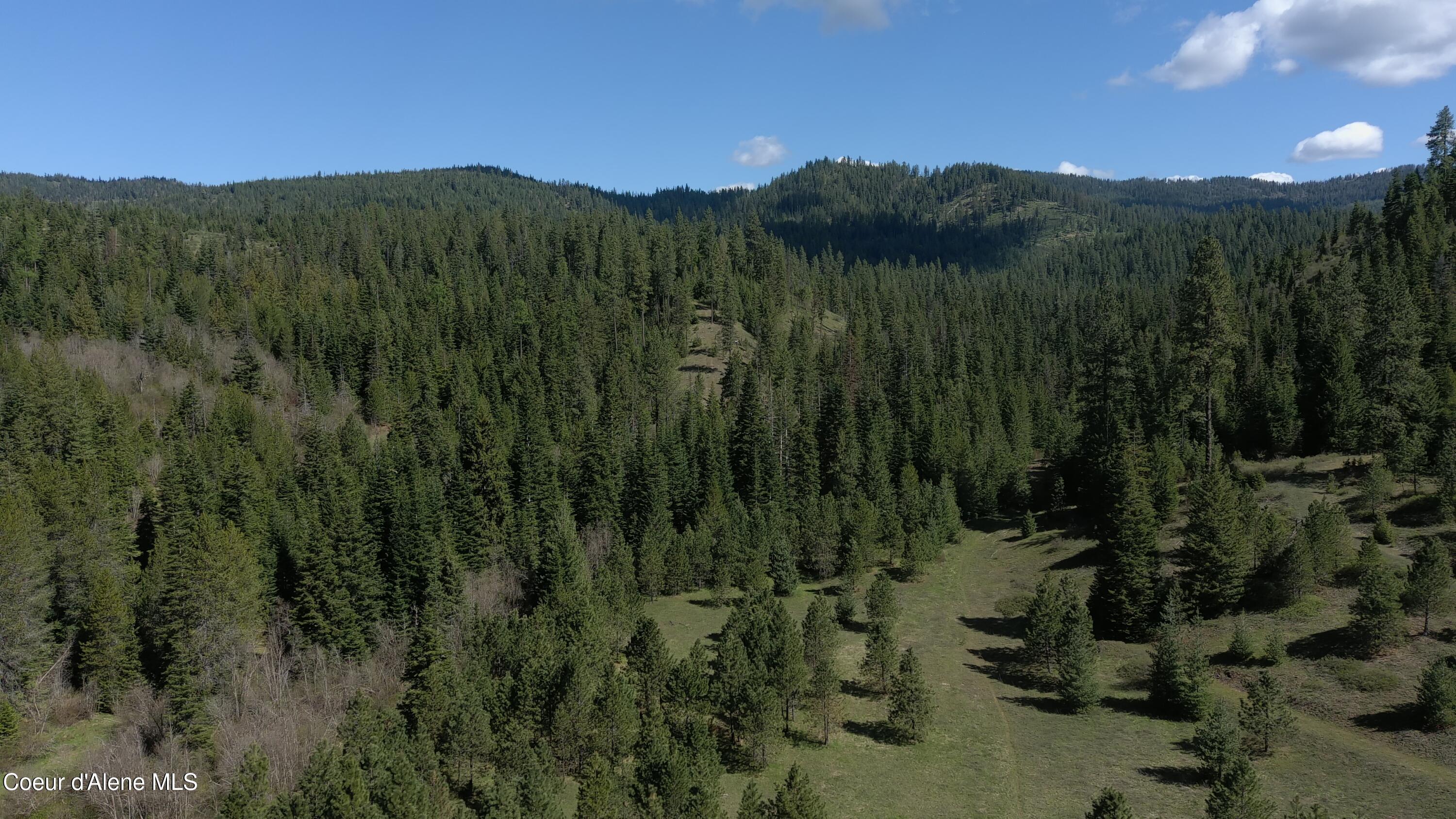 Image 4: aMAX_0020