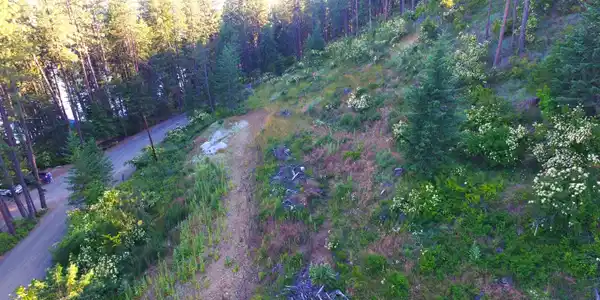 Image 4: DJI_0018