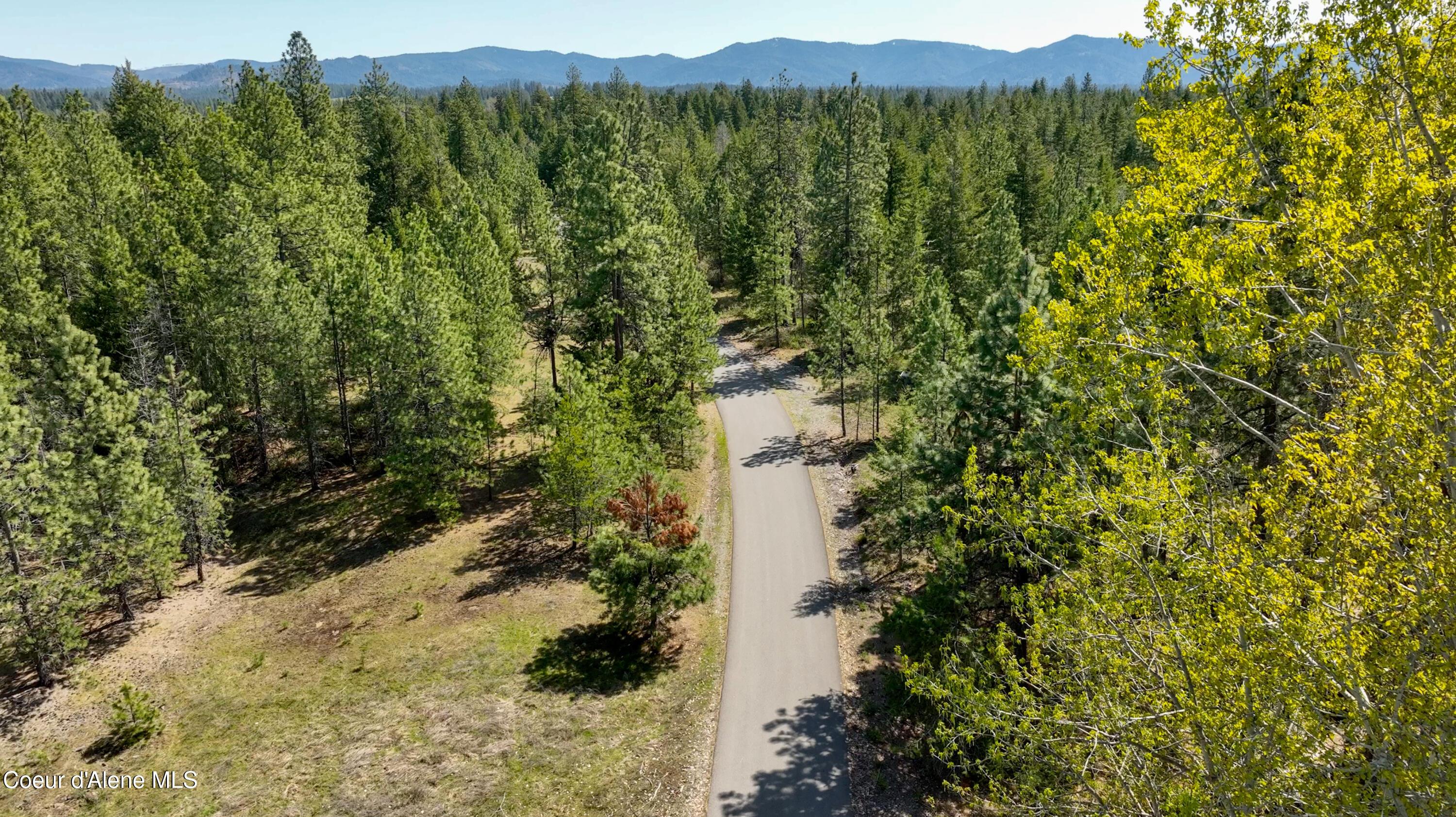 Image 4: Road to the East