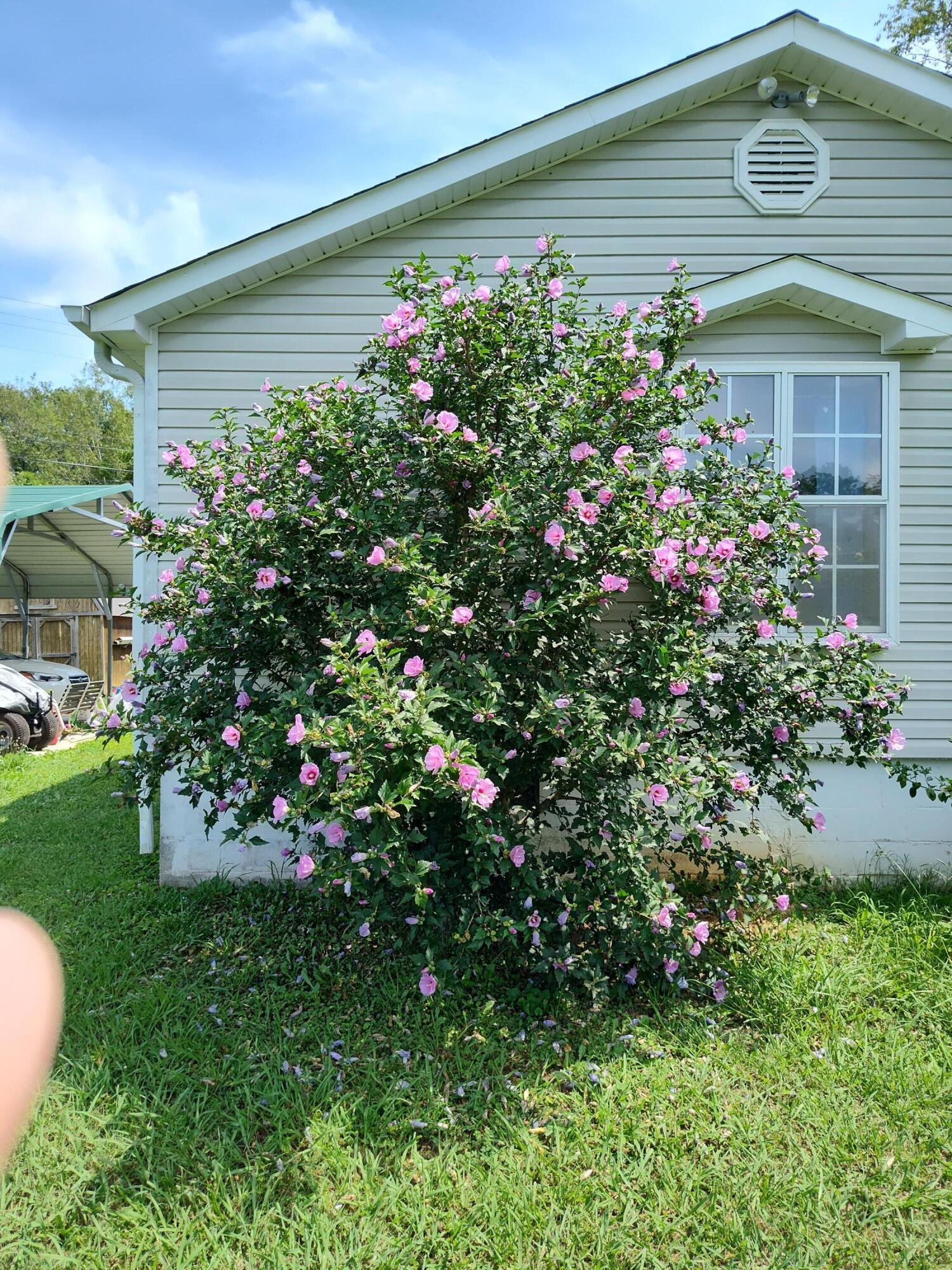 Image 3: IMG_20250627_110739357_HDR