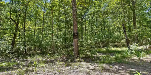 Image 2: 004-Lot 17-3
