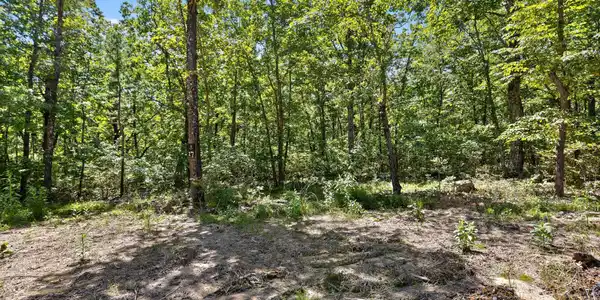 Image 3: 003-Lot 17-2