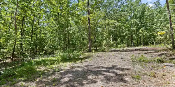 Image 4: 006-Lot 17-5