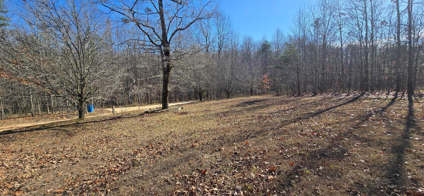 Image 1: 20251212_131038