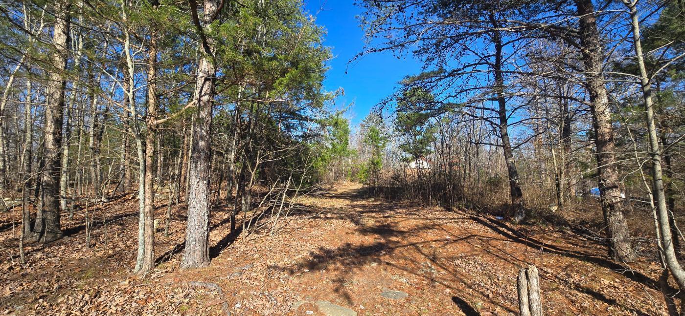 Image 3: 20251212_131131