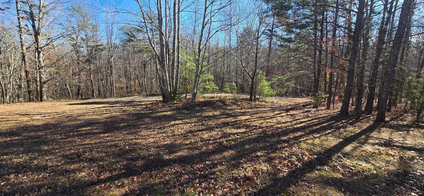 Image 4: 20251212_131209