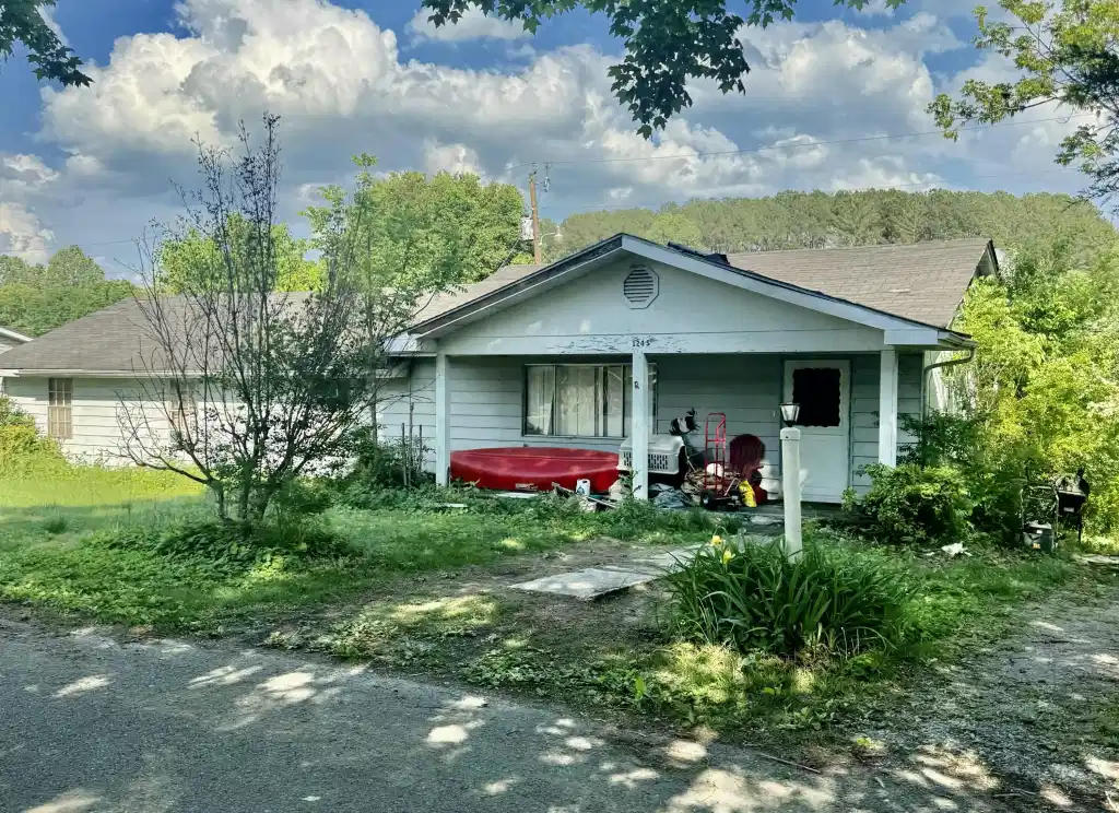 Image 1