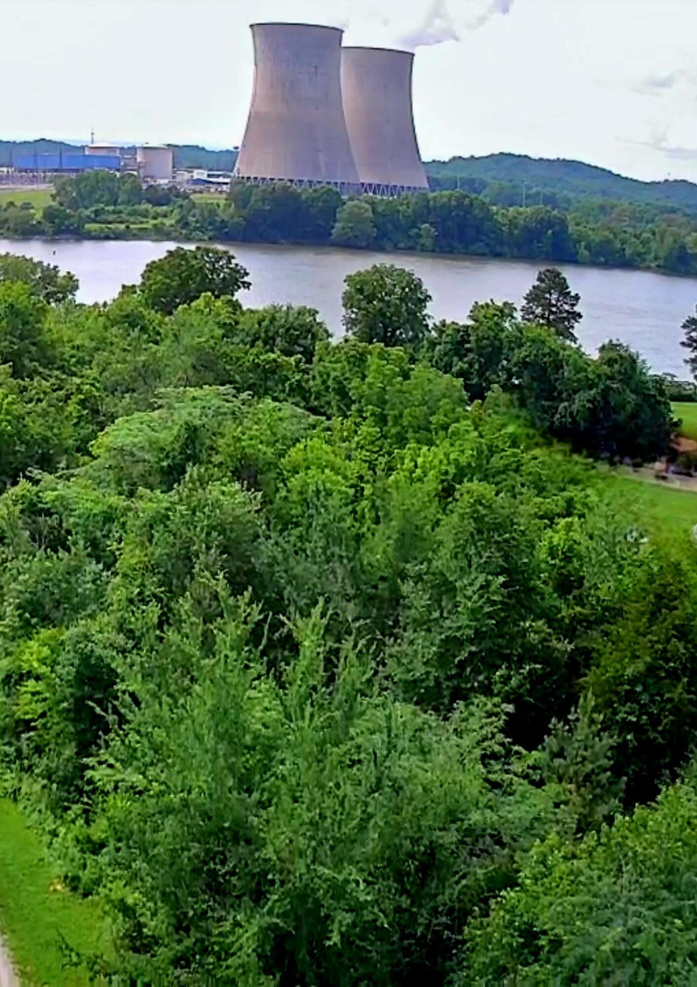 Image 2: IMG_20250613_1604028