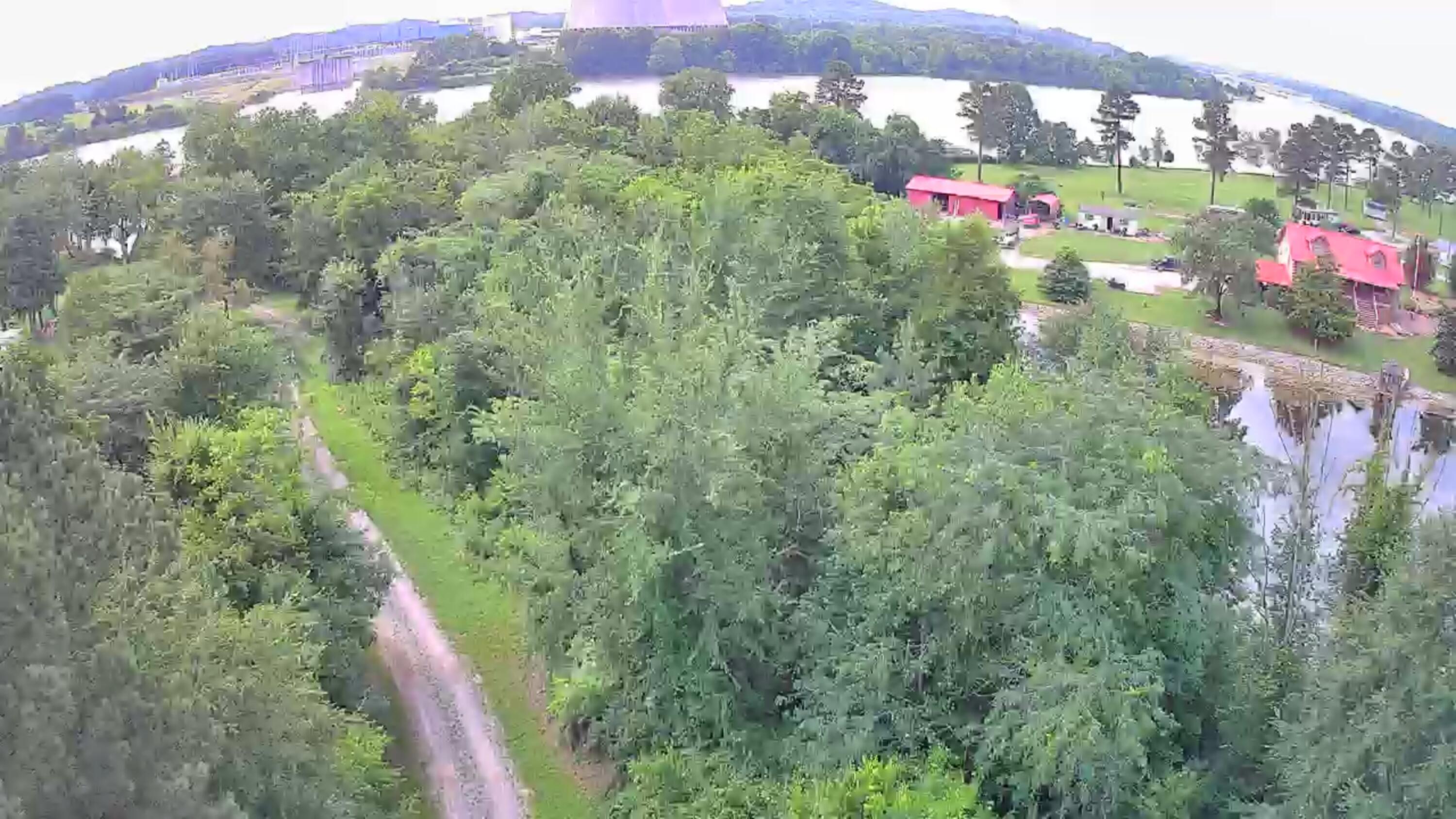 Image 4: IMG_20250613_1607001