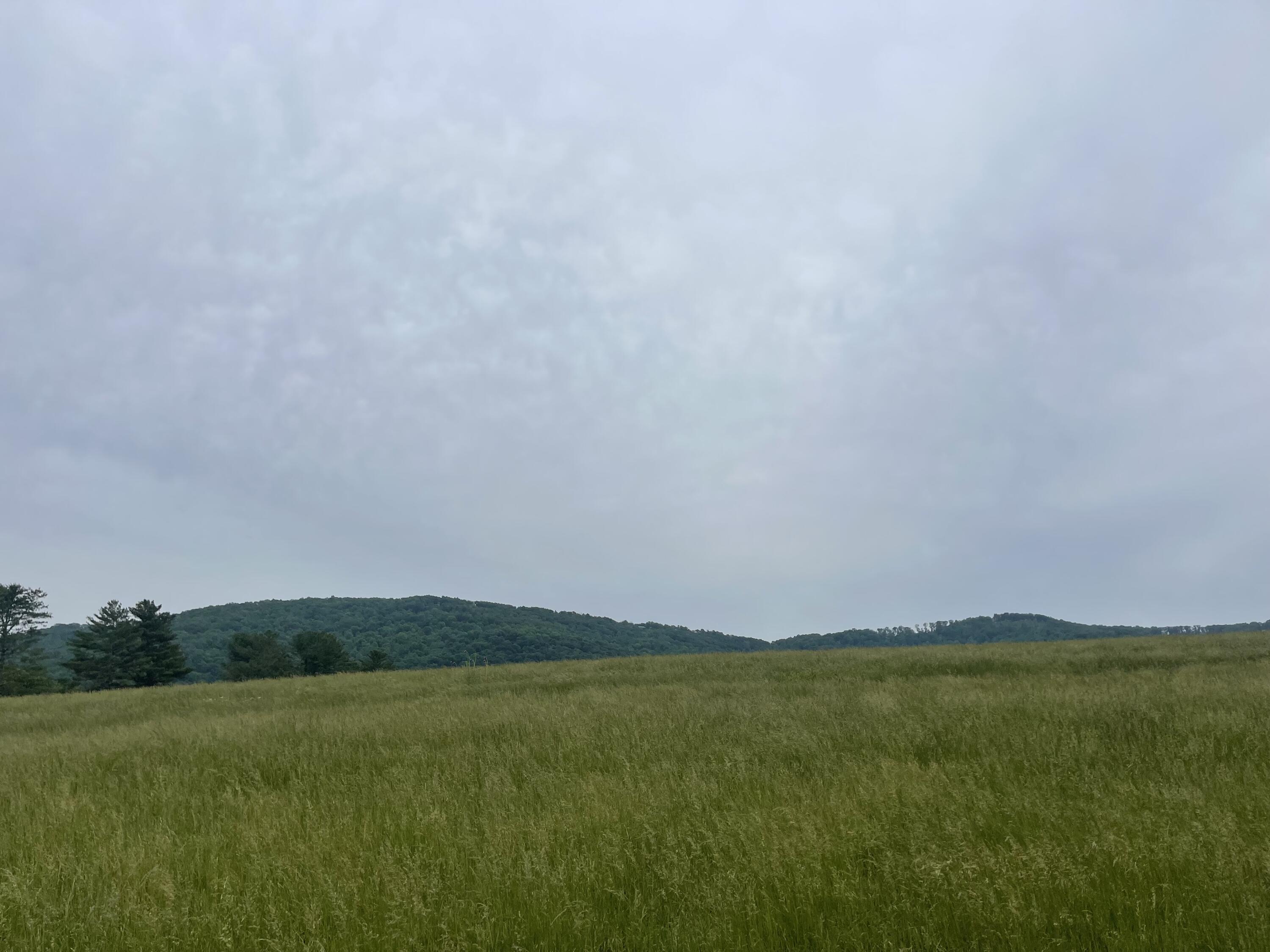 Image 3: IMG_5613