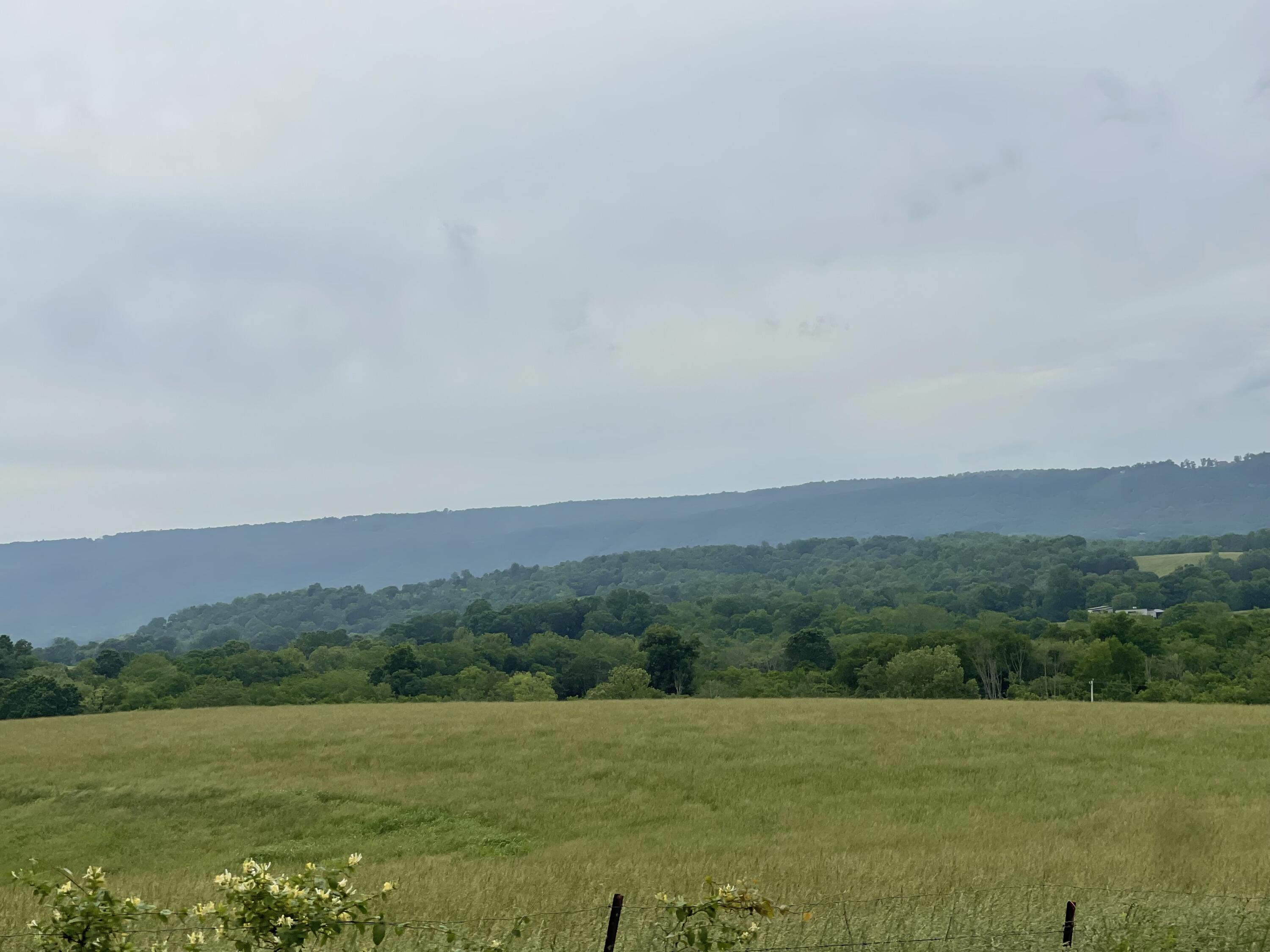 Image 4: IMG_5621