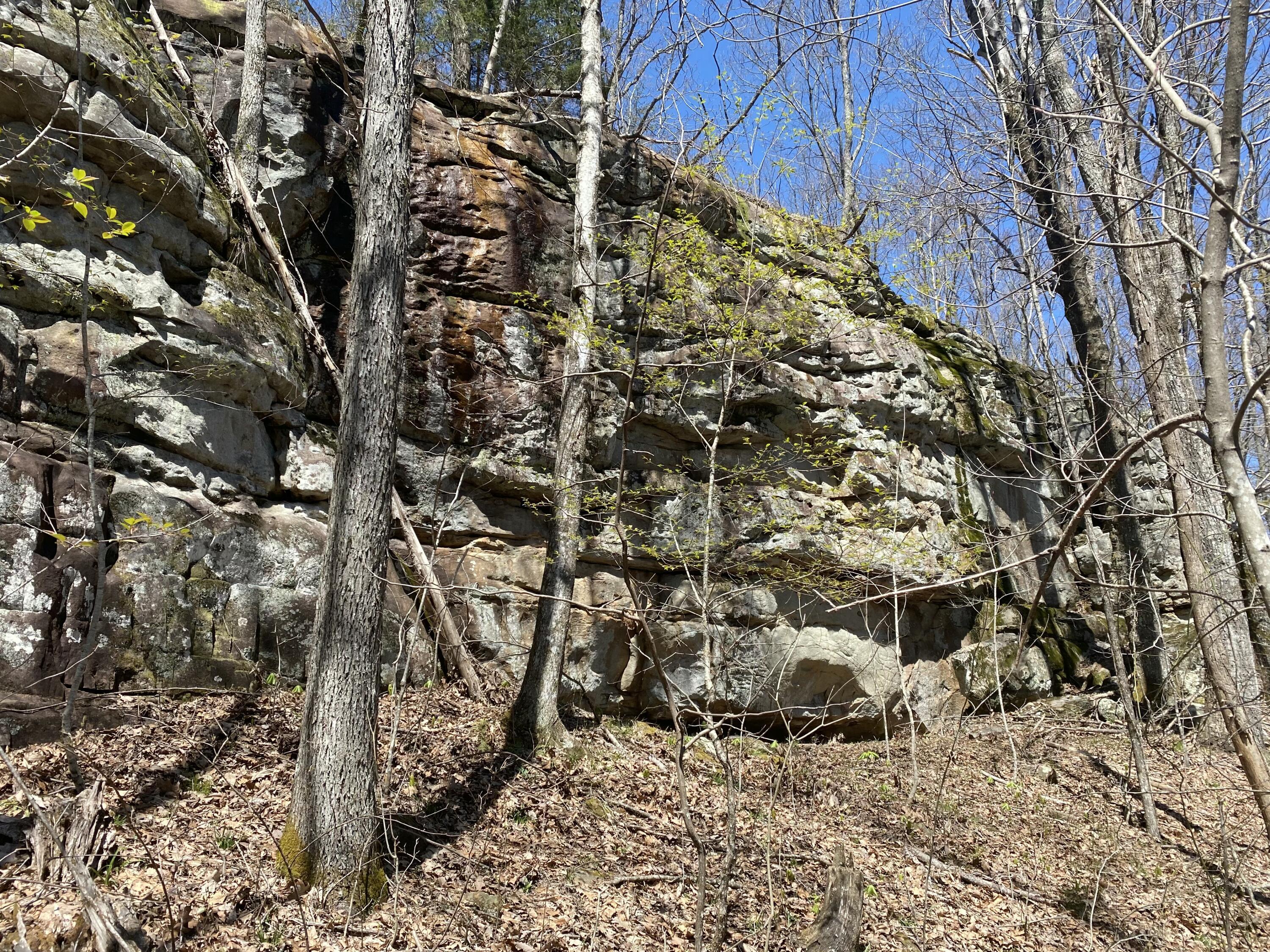 Image 3: IMG_20260620_084844