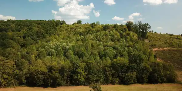 Image 3: DJI_0040