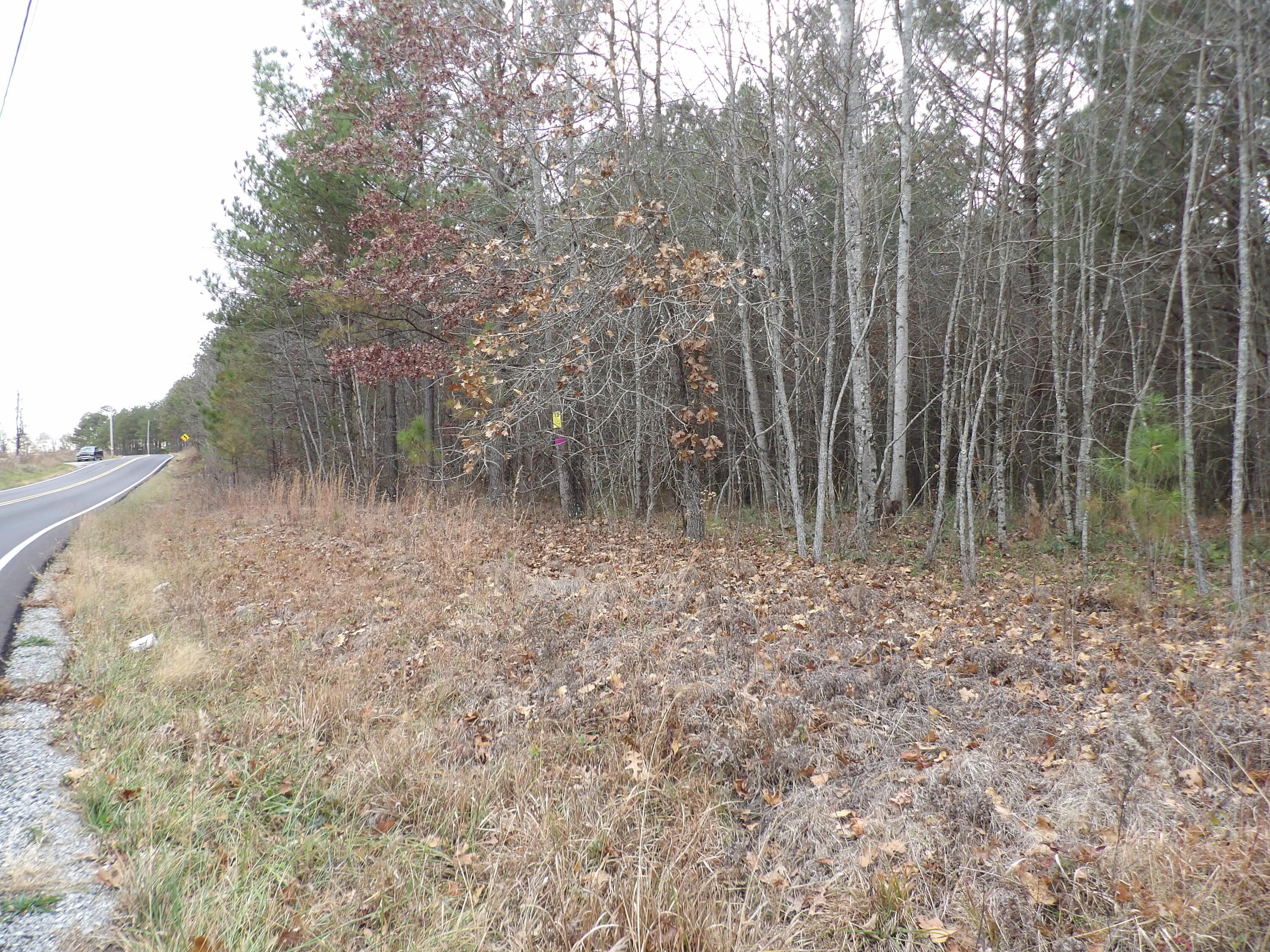 Image 3: 100_2080