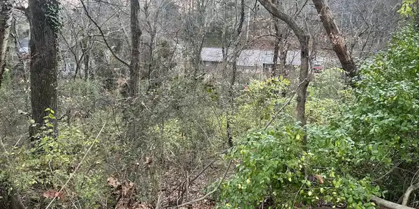 0 Mountain Wood Lane