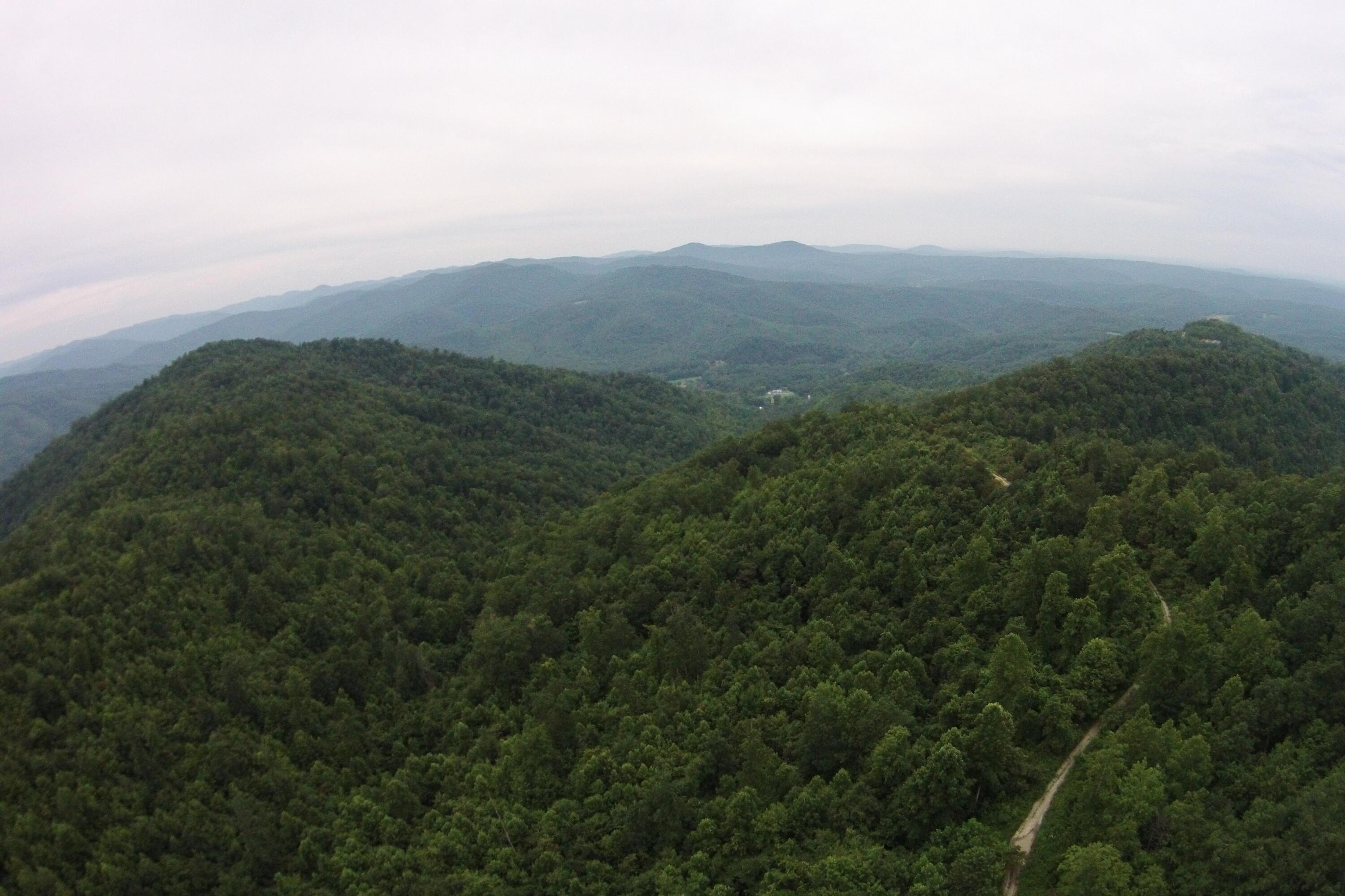 Image 1: Aerial View 2