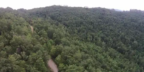 Image 2: Aerial View 3