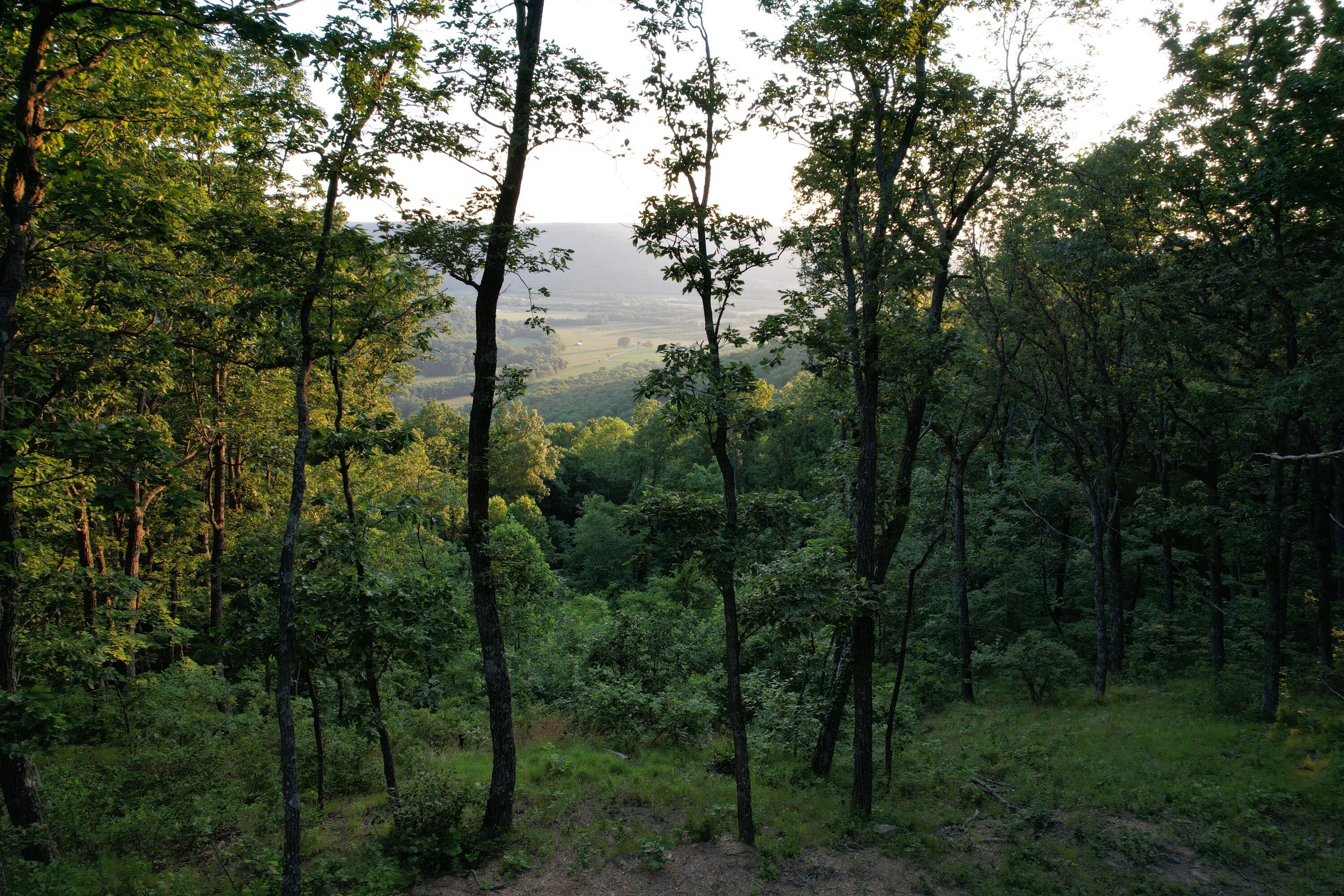Image 3: 5