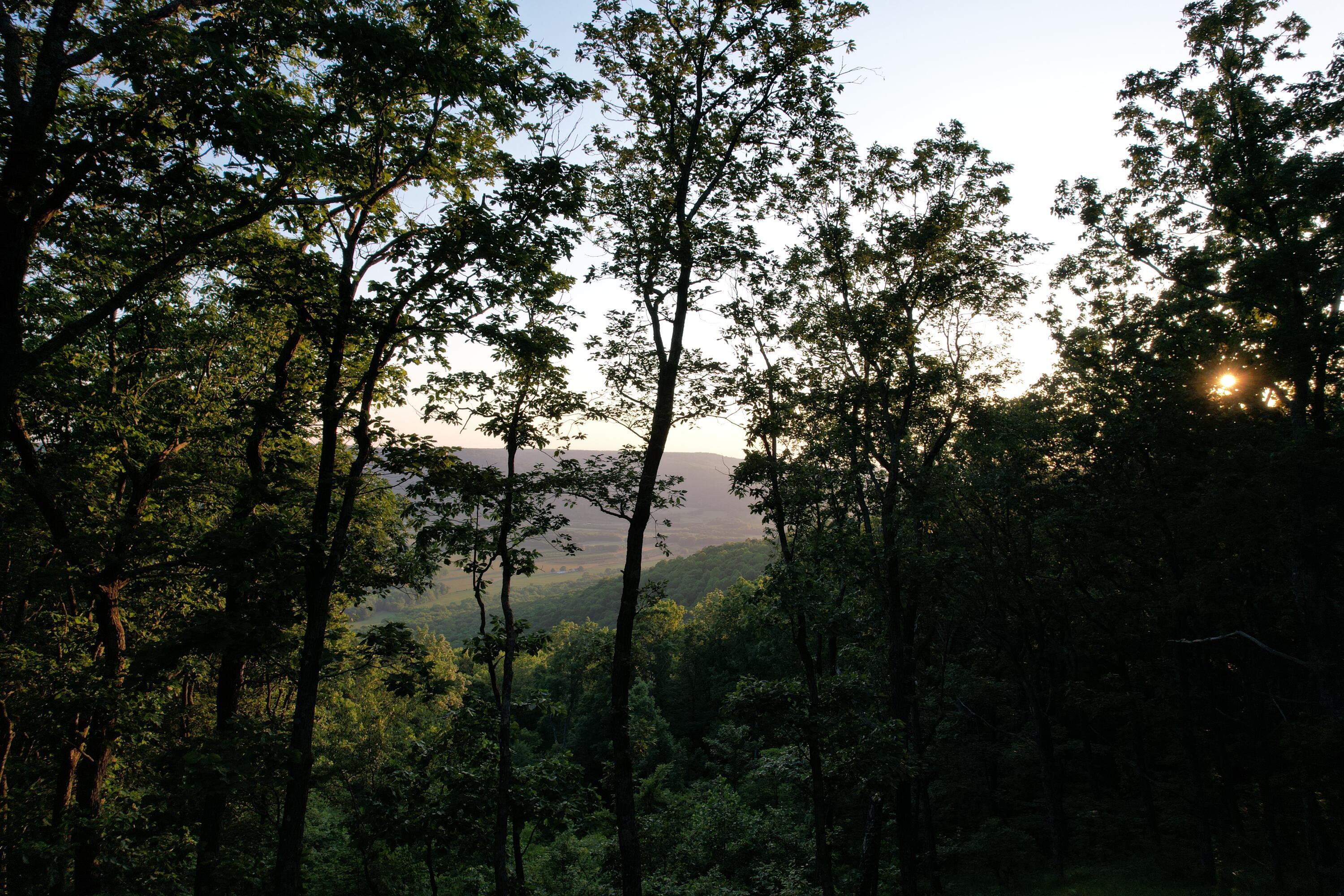 Image 4: 6