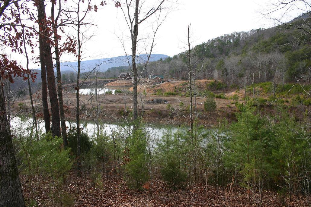 Image 1: LakefrontLot8