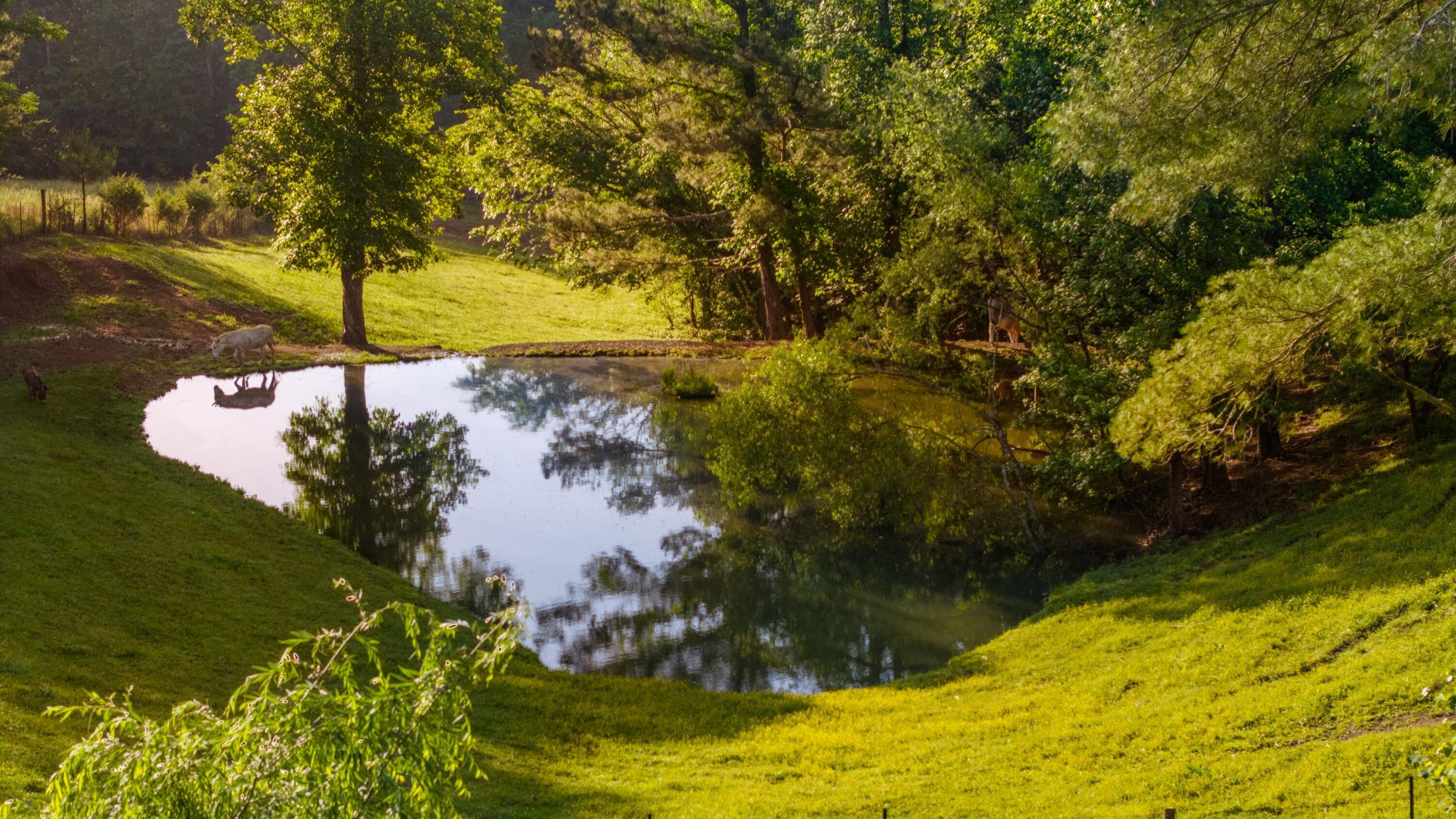 Image 2: DJI_20250515082557_0100_D-HDR