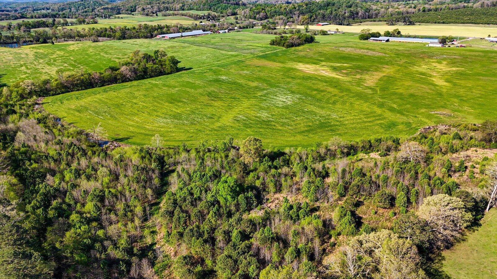 Image 3: 16-1625 Red Hill Valley Rd-16